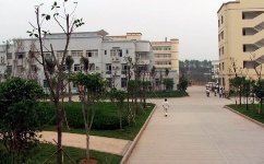 南宁职业技术学院 育人为本，服务区域发展的职业教育典范