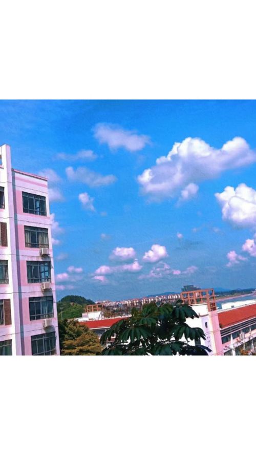 南宁市第六职业技术学校 公办院校的日间风景与教育融合之美